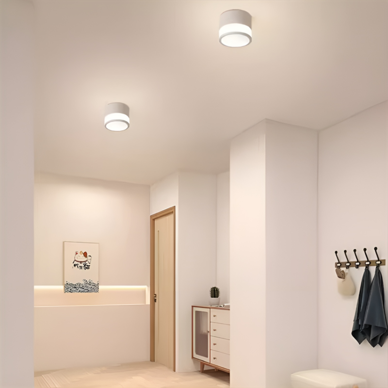 Đèn trần downlight phong cách đơn giản hiện đại QY9317 1