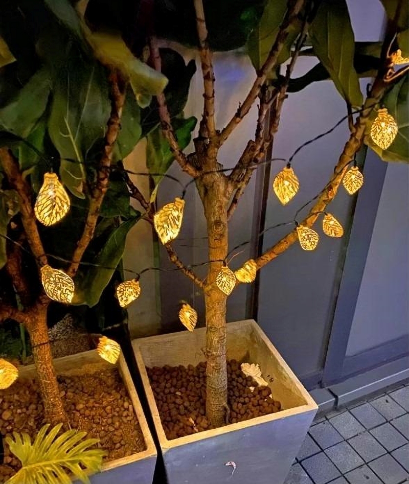 Dây đèn LED trang trí sân vườn hình chiếc lá MF6165 177