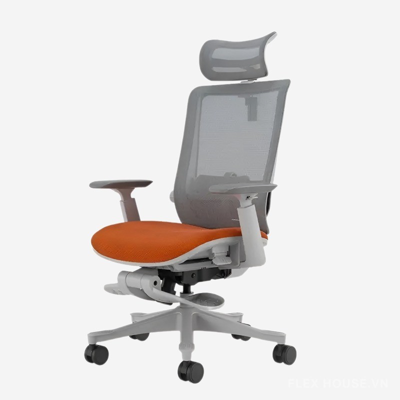 Ghế lưới văn phòng Ergonomic kết hợp footrest SM6BHL 4