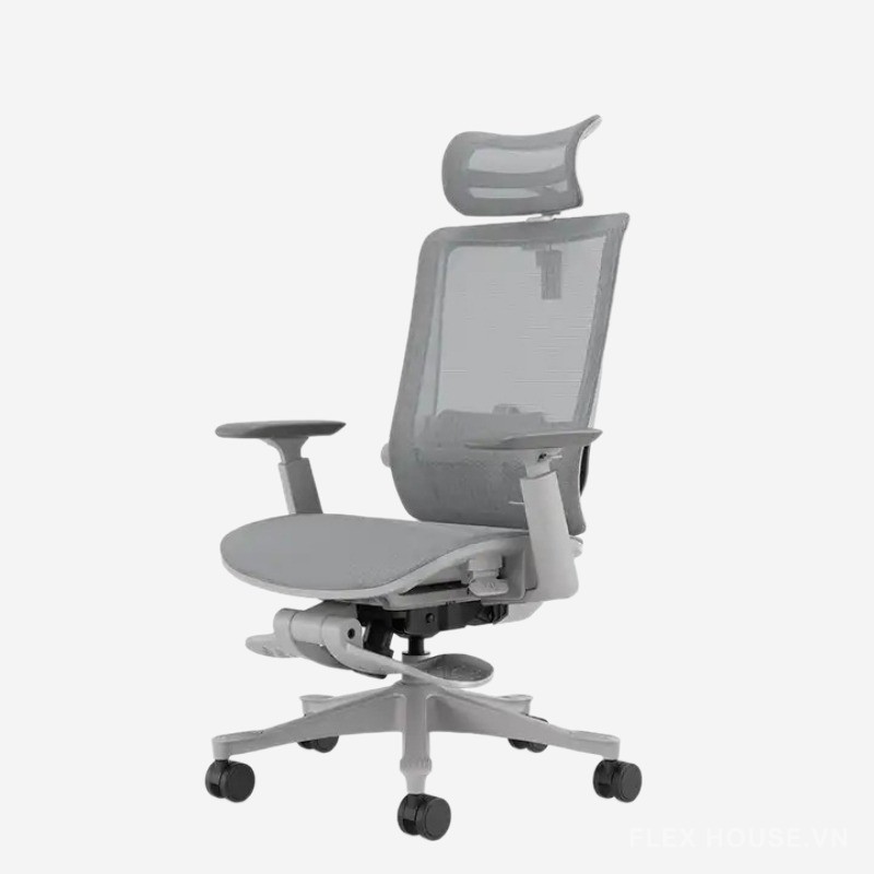 Ghế lưới văn phòng Ergonomic kết hợp footrest SM6BHL 5
