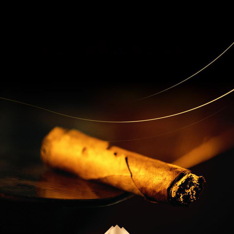 Gạt tàn Cigar màu vàng bạc nghệ thuật CGL7246 9
