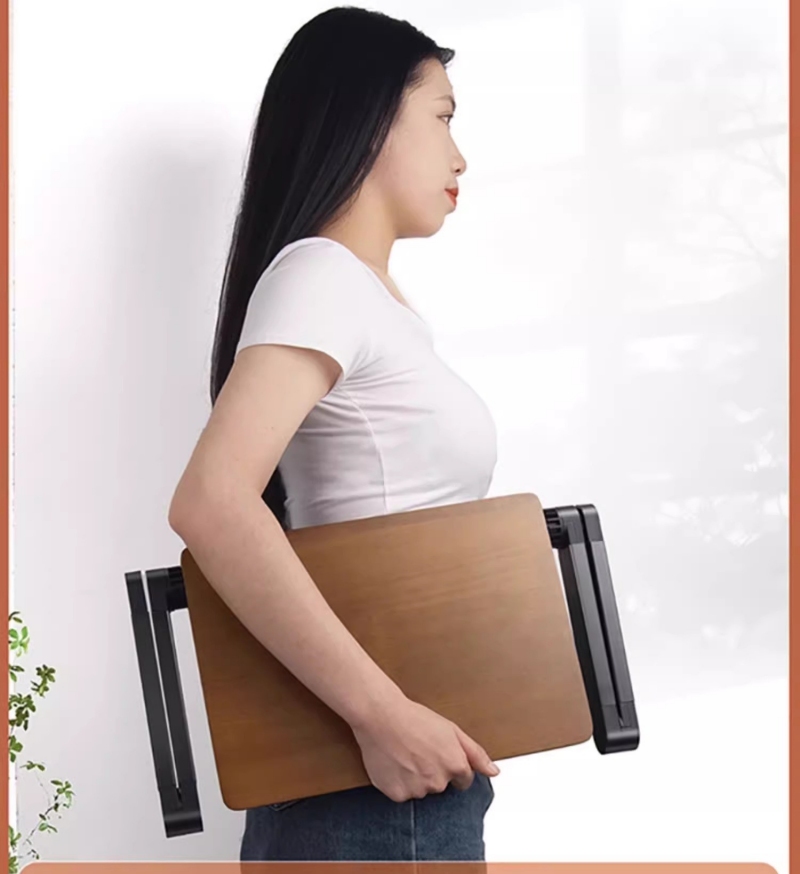 Kệ để màn hình máy tính nâng hạ PL1973 10