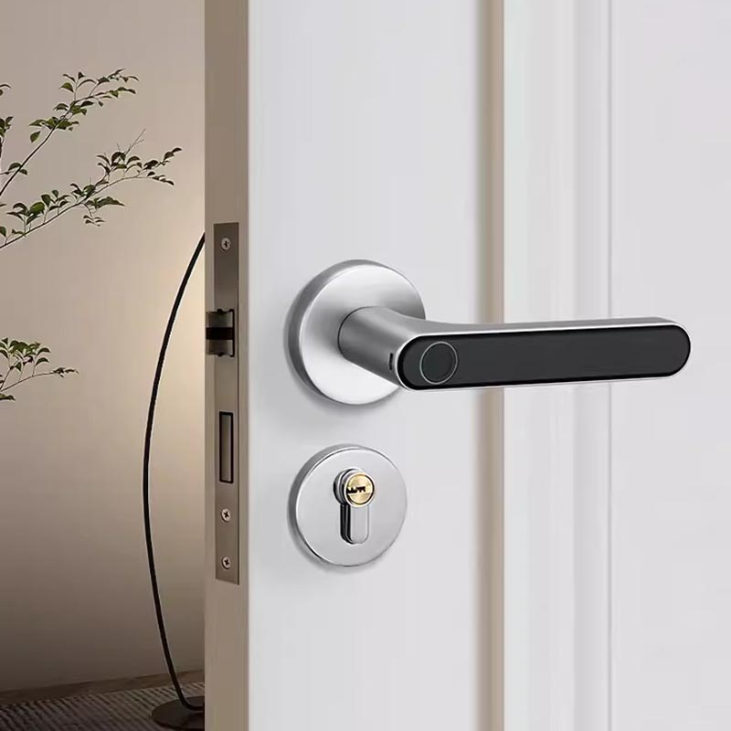 Khóa phân thể kết hợp vân tay trang trí cửa gỗ CD5206 5
