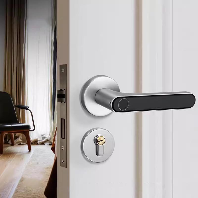 Khóa phân thể kết hợp vân tay trang trí cửa gỗ CD5206 4