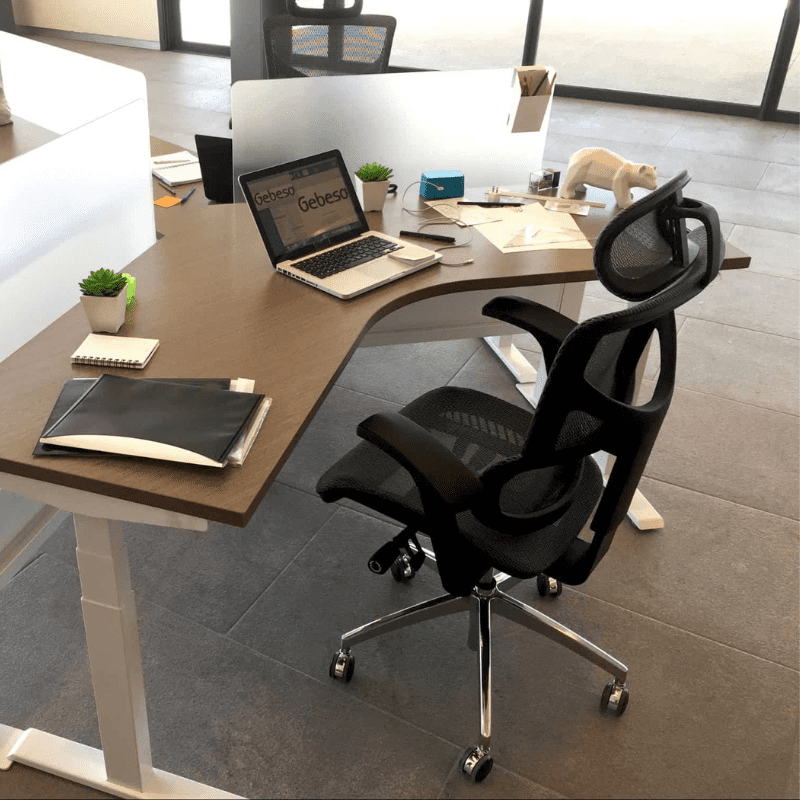 lợi ích của ghế công thái học
