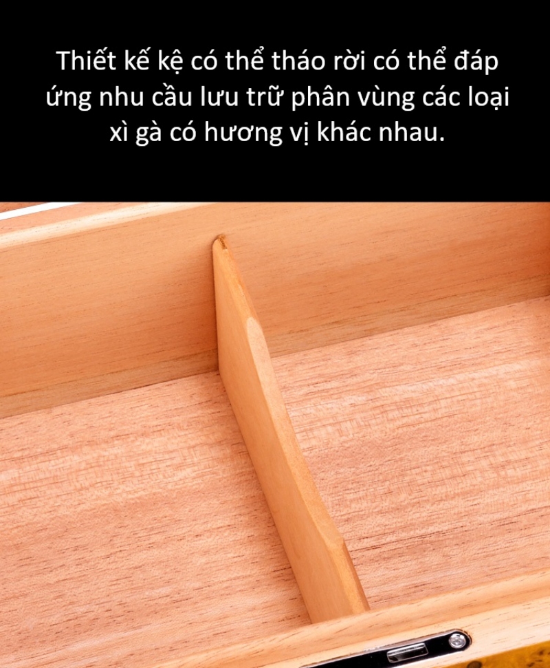 Hộp đựng cigar tranh Cánh Én Mùa Xuân CGL127 6