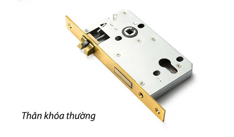 Khóa cửa phòng bằng đồng tay gạt gỗ óc chó SEE975 18