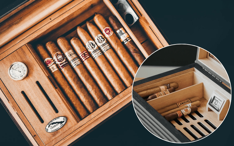 Lý do tủ đựng cigar thường làm từ gỗ tuyết tùng Tây Ban Nha 3 bảo quản cigar