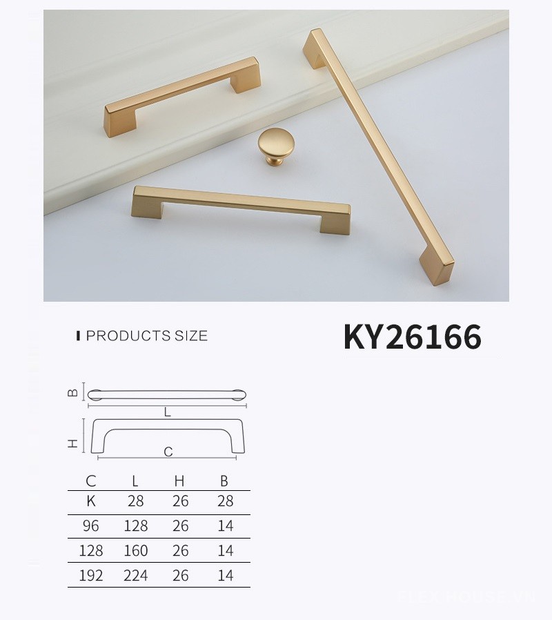Tay nắm tủ hợp kim kẽm chữ D kiểu Mỹ KY26166 13