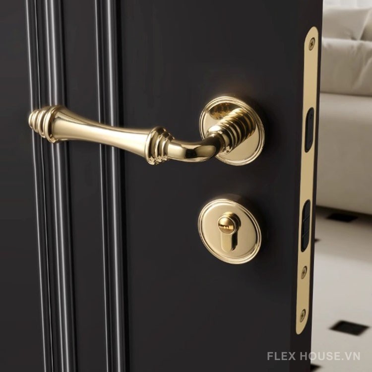 Khóa cửa tay gạt sang trọng kiểu Pháp SDM449 7