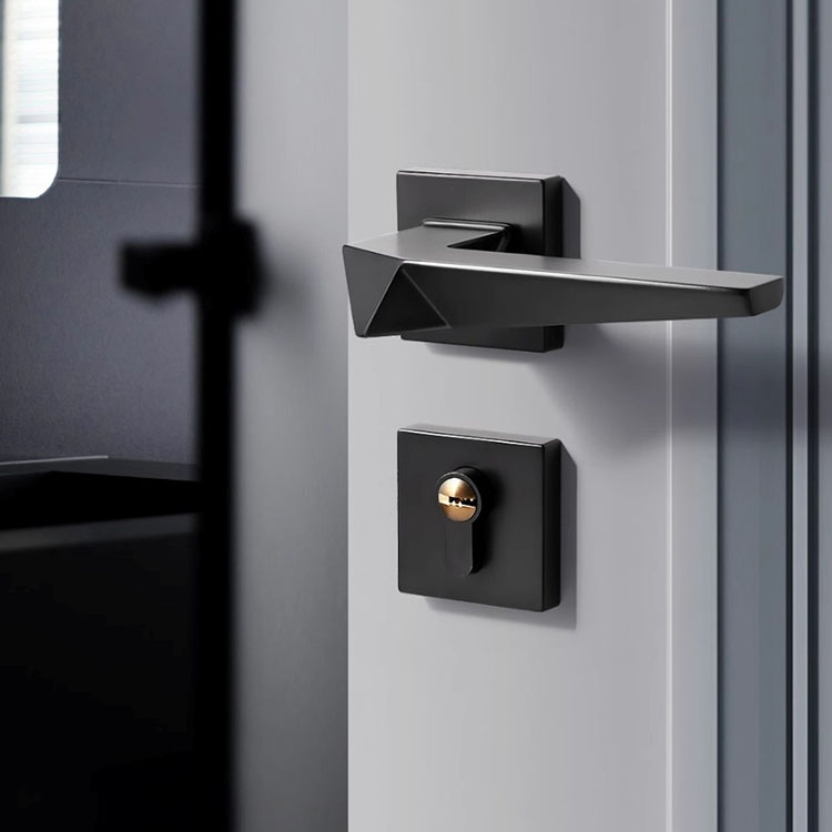 Khóa phân thể tay gạt hiện đại cá tính SDM416 6