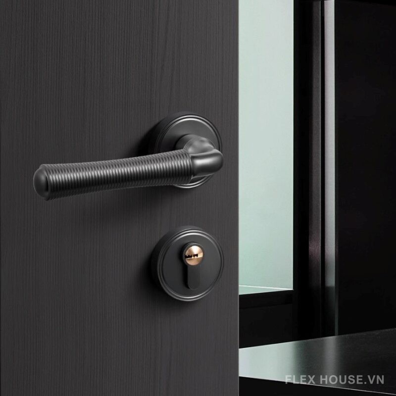 Khóa phân thể tay gạt hiện đại vân tròn SDM861 2