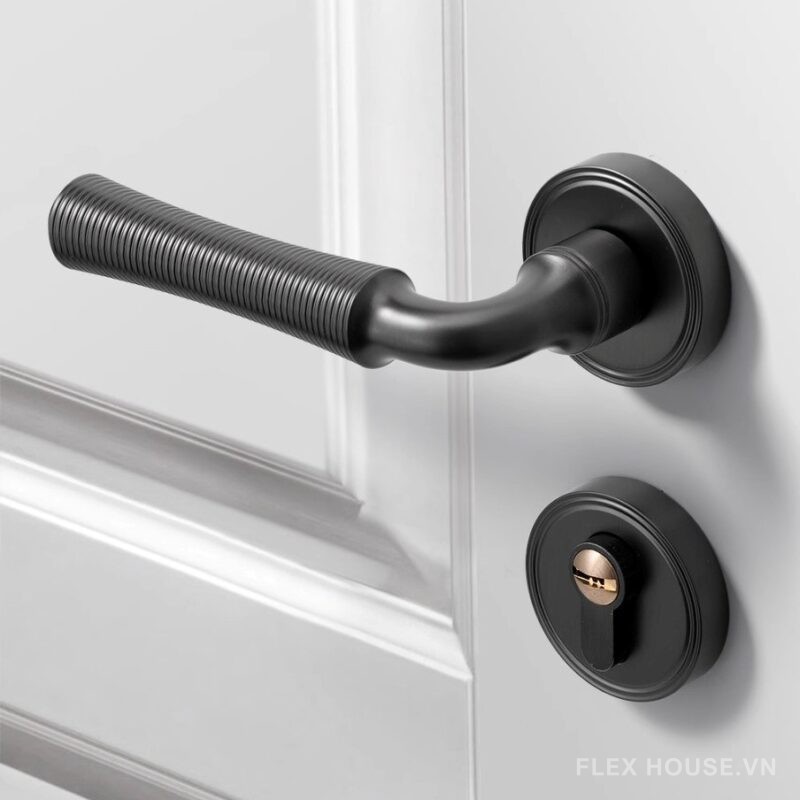 Khóa phân thể tay gạt hiện đại vân tròn SDM861 4
