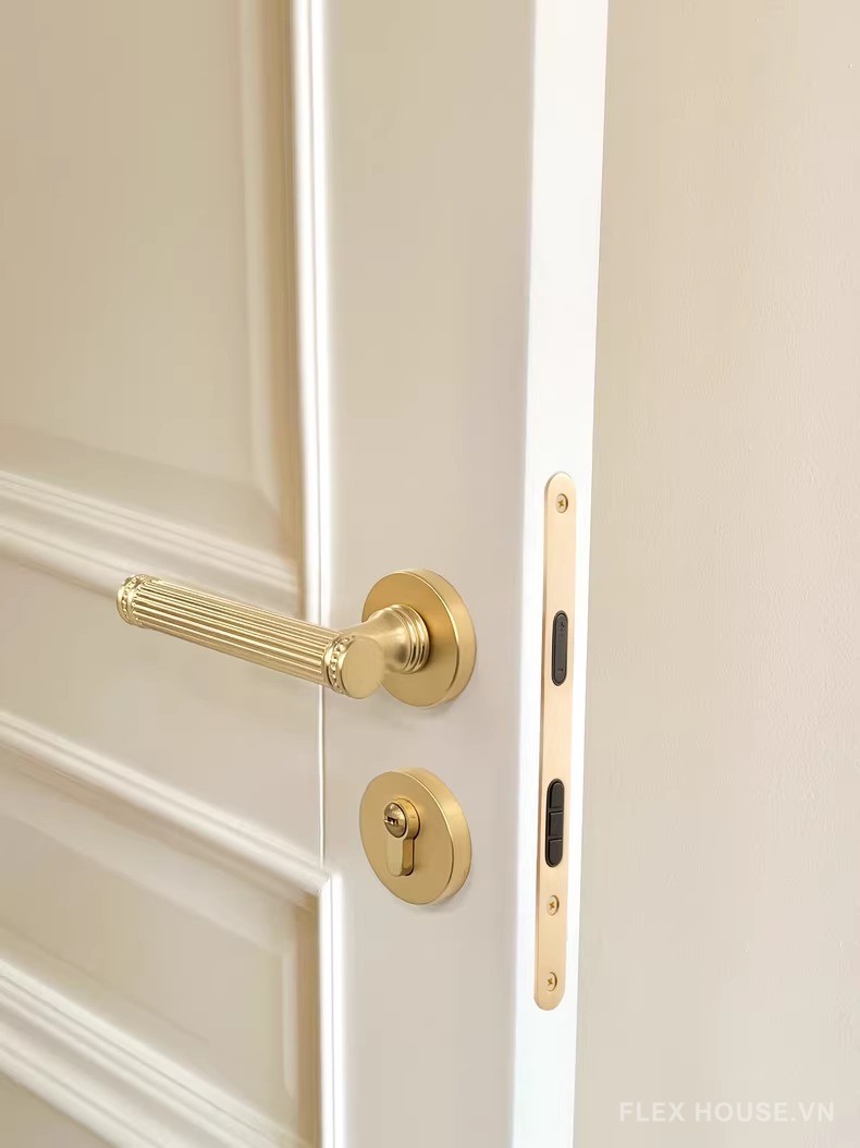 Khóa phân thể tay gạt vân sọc phong cách Roman SDM134 16