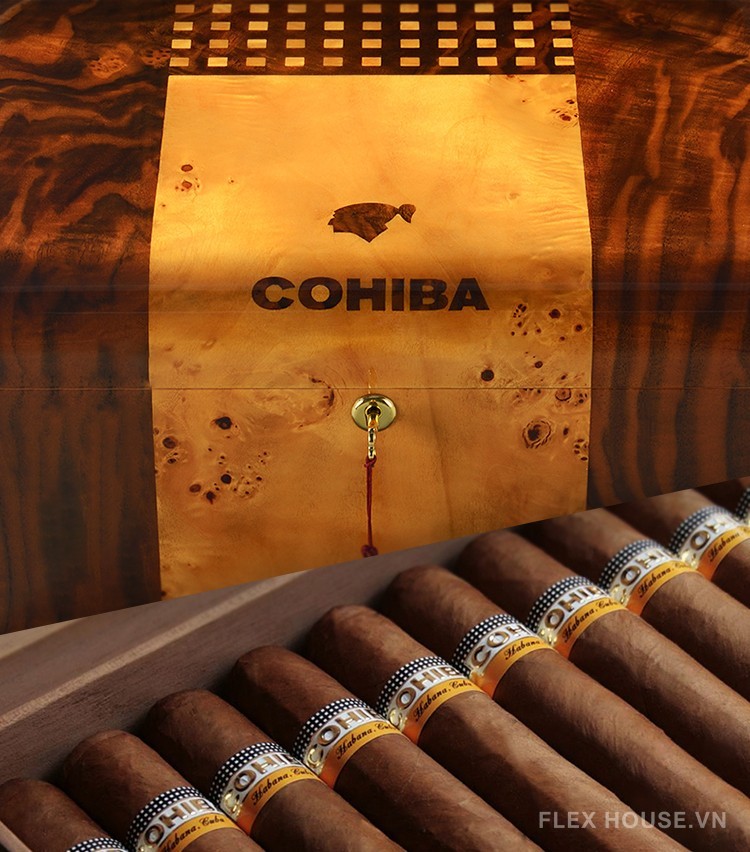 Hộp bảo quản cigar gỗ tuyết tùng Cohiba CGL792 6