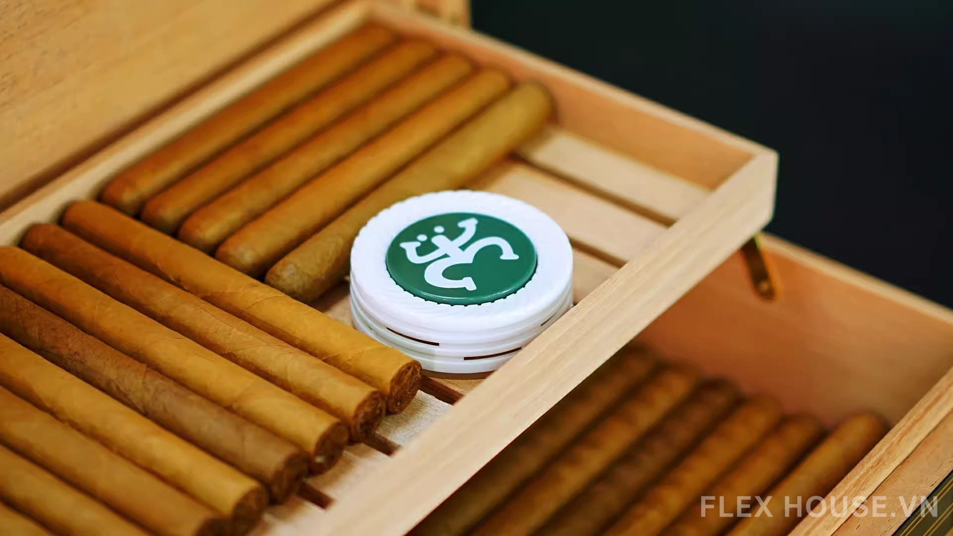 Phụ kiện bẫy bọ mọt cigar nhỏ gọn tiện dụng LBS4015 6