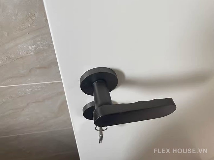 Khóa phân thể tay gạt hiện đại tối giản KB2929 17