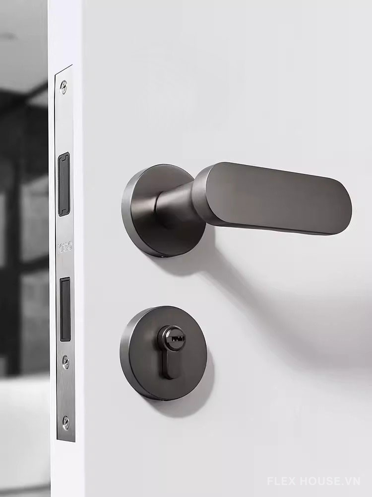 Khóa phân thể tay gạt hiện đại tối giản KB2929 6