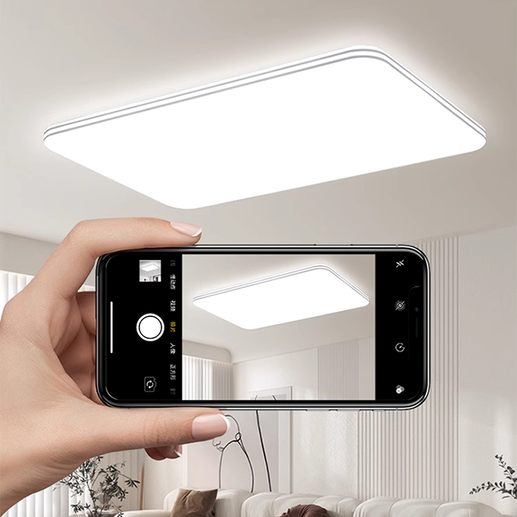 Đèn Led ốp trần hiện đại bảo vệ mắt NVC260 6