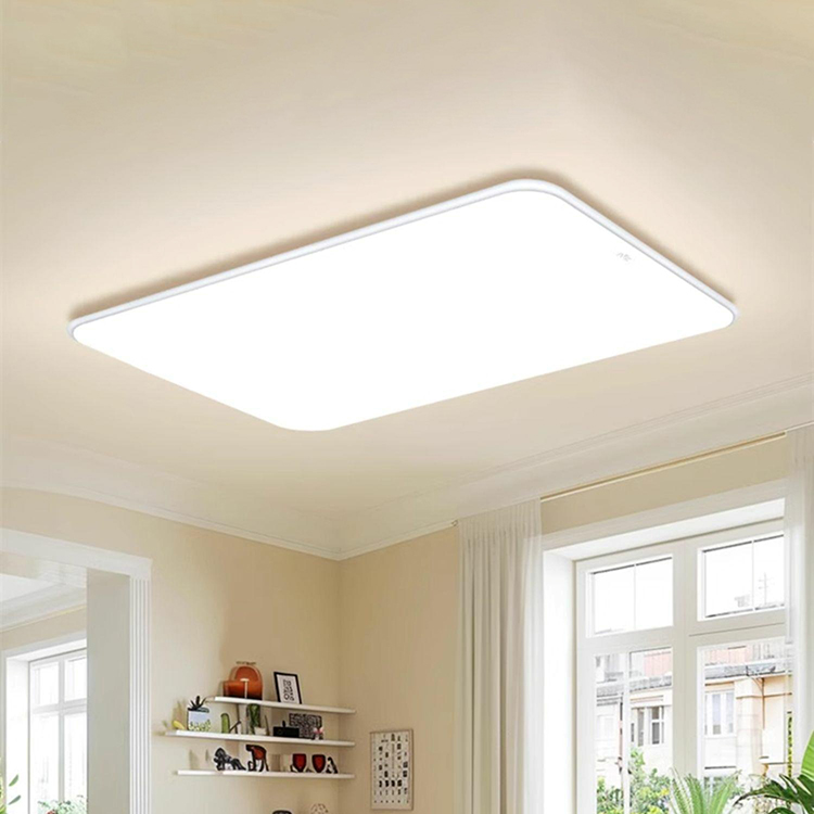 Đèn Led ốp trần hiện đại cao cấp NVC300 9