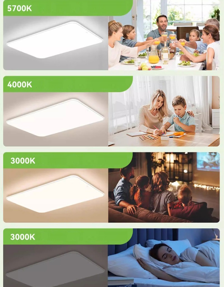 Đèn Led ốp trần hiện đại cao cấp NVC300 12