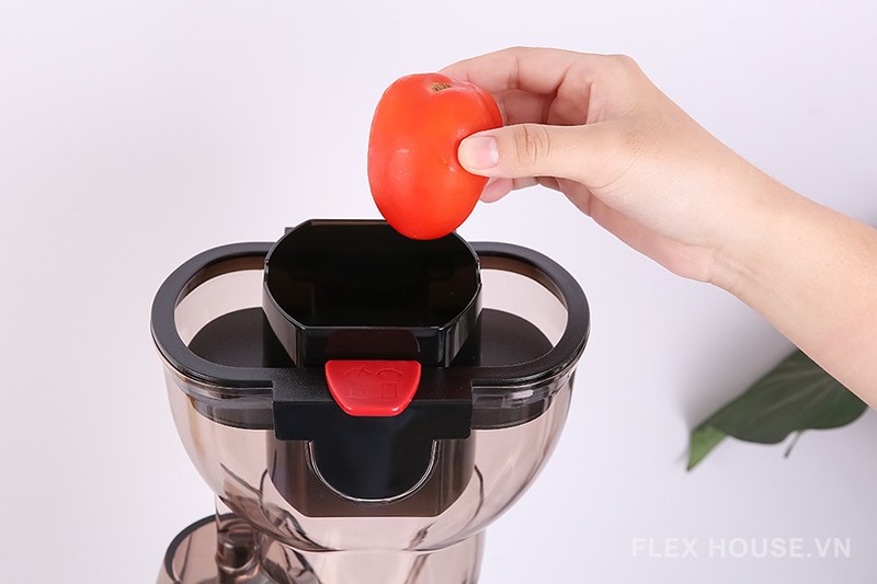 Máy ép chậm cỡ lớn HSJ-B30A Hafele 535.43.531 12