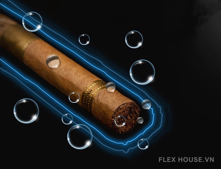 Tủ điện bảo quản cigar Afidano AFC8 9