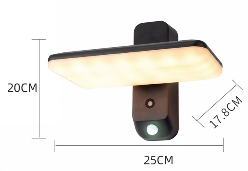 Đèn tường ngoài trời cảm ứng hiện đại DZ9873