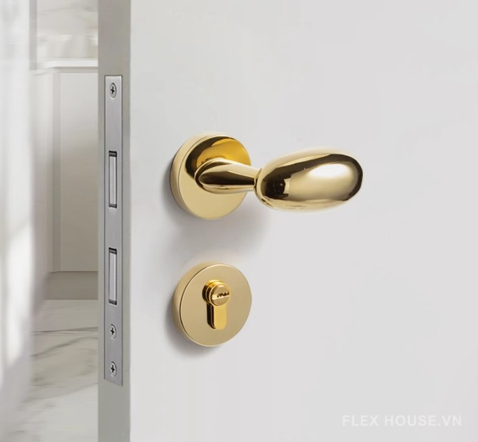 Khóa cửa tay gạt hình oval hợp kim kẽm FB6089 4