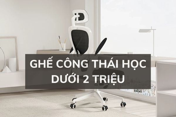 Ghế thái công học dưới 2 triệu đẹp, bền tại Flexhouse VN