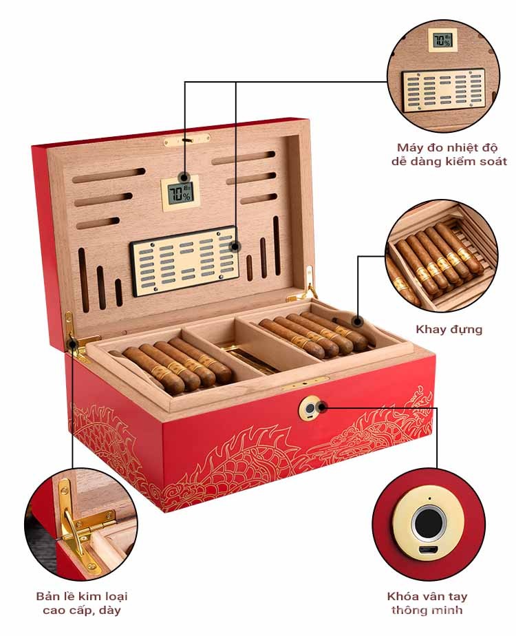 Hộp đựng cigar khóa vân tay họa tiết rồng đẹp mắt CGL846 8