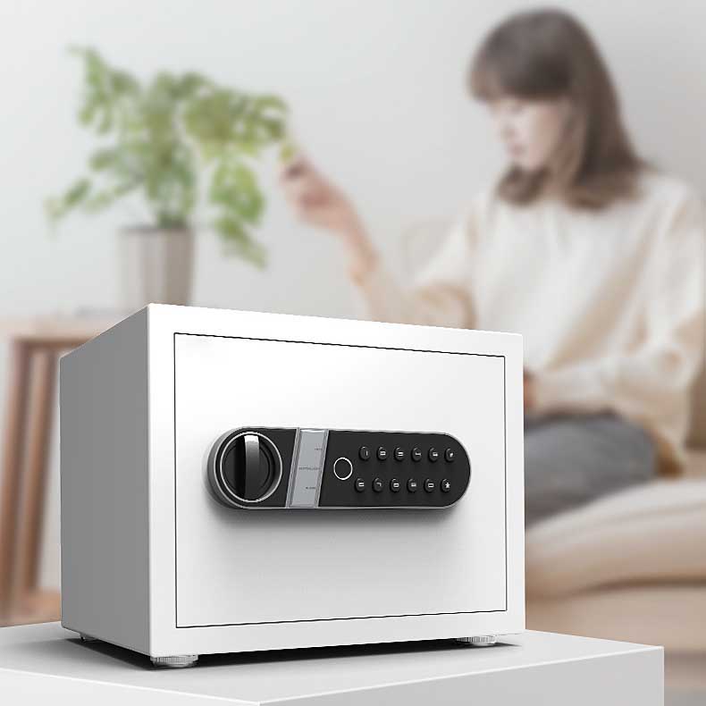 Két sắt cao cấp khóa vây tay thông minh EM8023 13