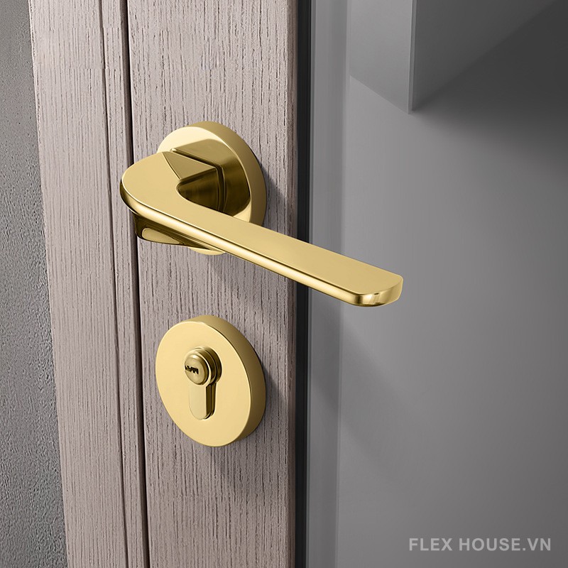 Khóa cửa phòng tay gạt hợp kim hiện đại XC105 9