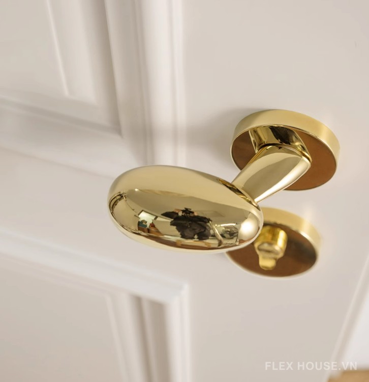 Khóa cửa tay gạt hình oval hợp kim kẽm FB6089 6