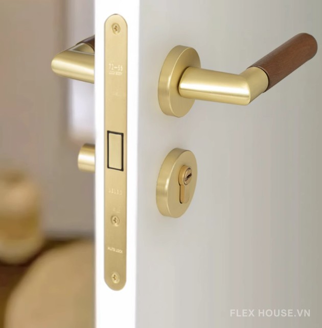 Khóa cửa phòng tay gạt bằng gỗ FB15802 7