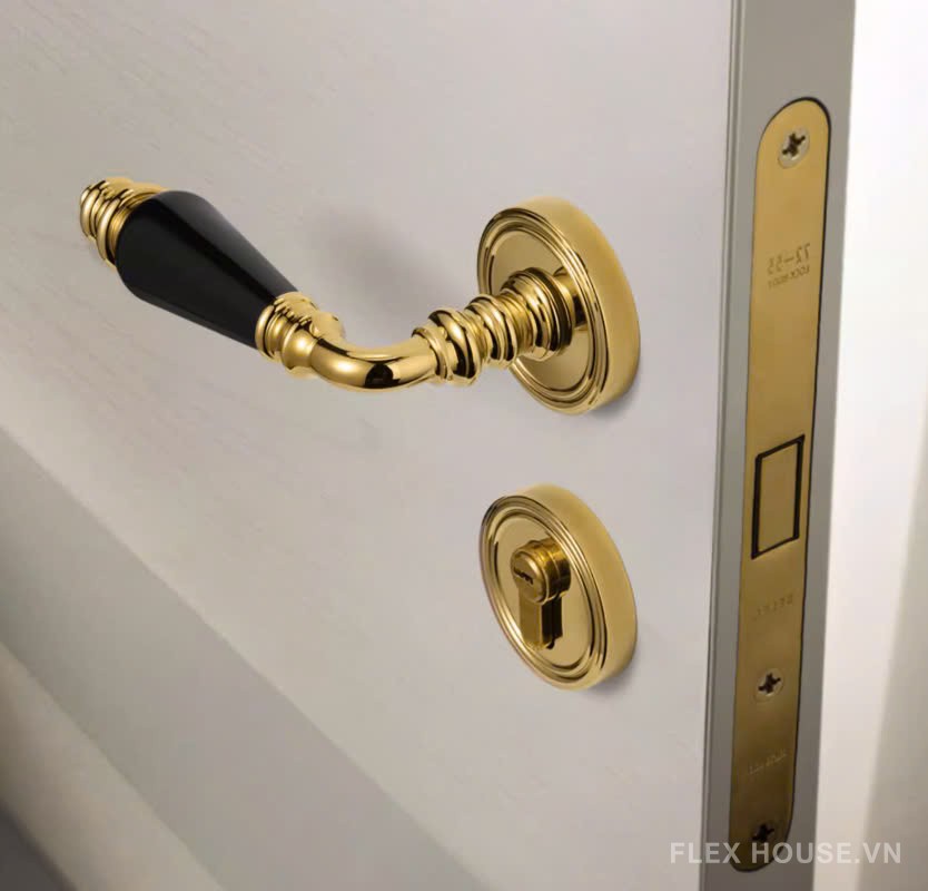 Khóa cửa tay gạt phối gốm kiểu Pháp FB86059 9