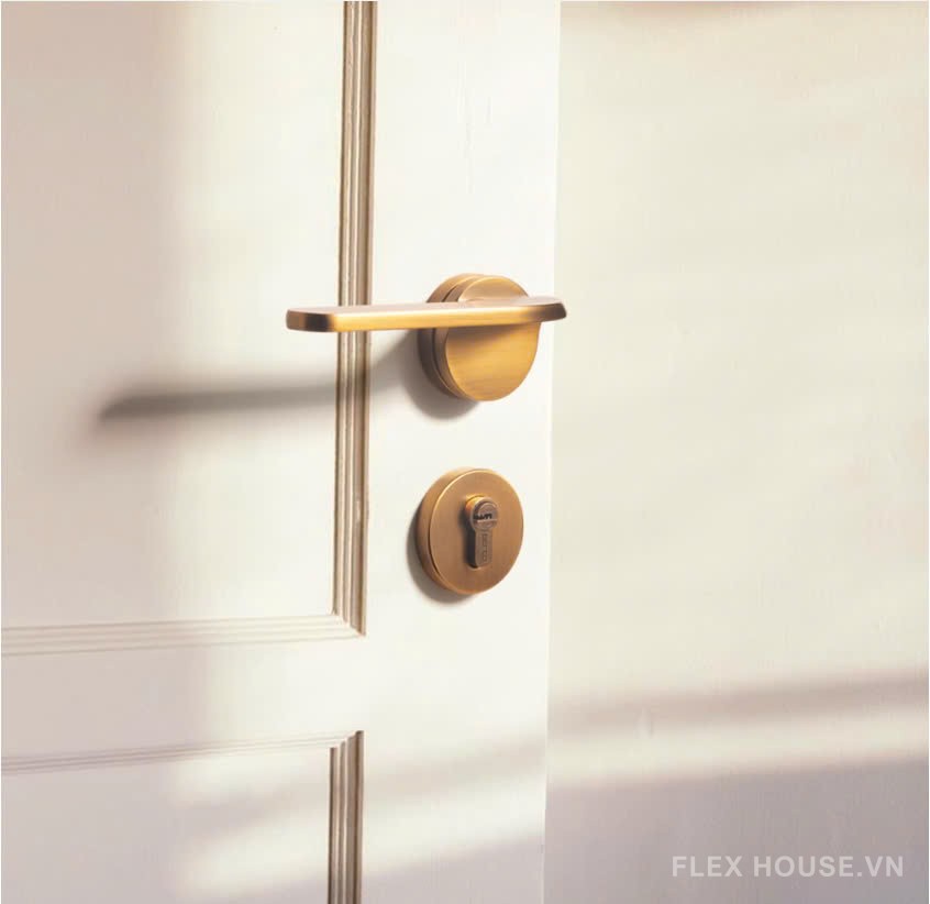 Khóa tay gạt phân thể hợp kim cho phòng ngủ FB6040 10