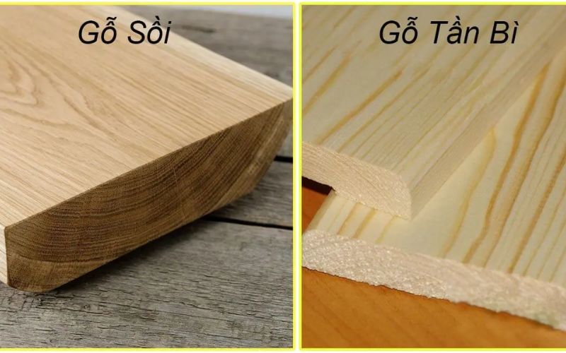 Gỗ Tần Bì Và Gỗ Sồi Làm Ghế Có Tốt Không? So Sánh Chi Tiết 2 Nên chọn gỗ Tần Bì hay gỗ Sồi để đóng ghế
