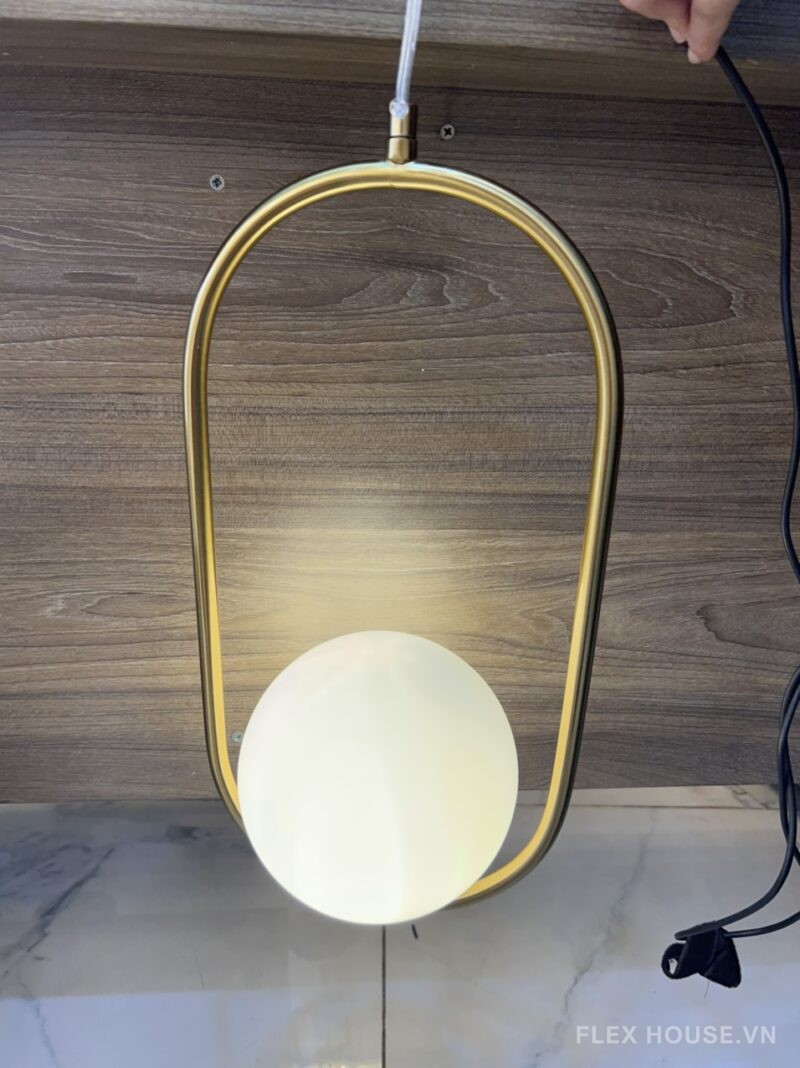 Đèn thả trần Oval trang trí phòng khách TTK03A 5