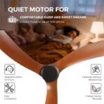 Quạt trần đèn phong cách retro cánh ABS cao cấp ESCN06 (5)