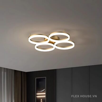 Đèn trần LED nhiều đầu bóng decor vòng tròn nghệ thuật ZHM8961 - 2