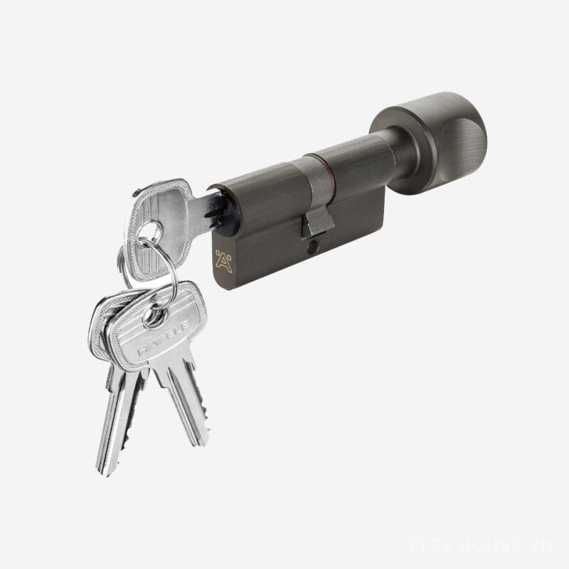 Ruột khóa Hafele 1 đầu vặn 1 đầu chìa 81mm 916.64.928 1