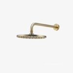 Sen đầu gắn tường BG cao cấp Hafele 589.15.390