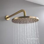 Sen đầu gắn tường BG cao cấp Hafele 589.15.390 (2)