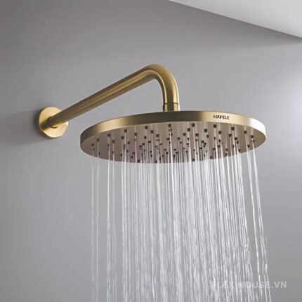 Sen đầu gắn tường BG cao cấp Hafele 589.15.390 (2)