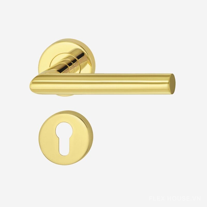 Tay nắm gạt Hafele Inox 304 cho cửa phòng 903.92.558 1