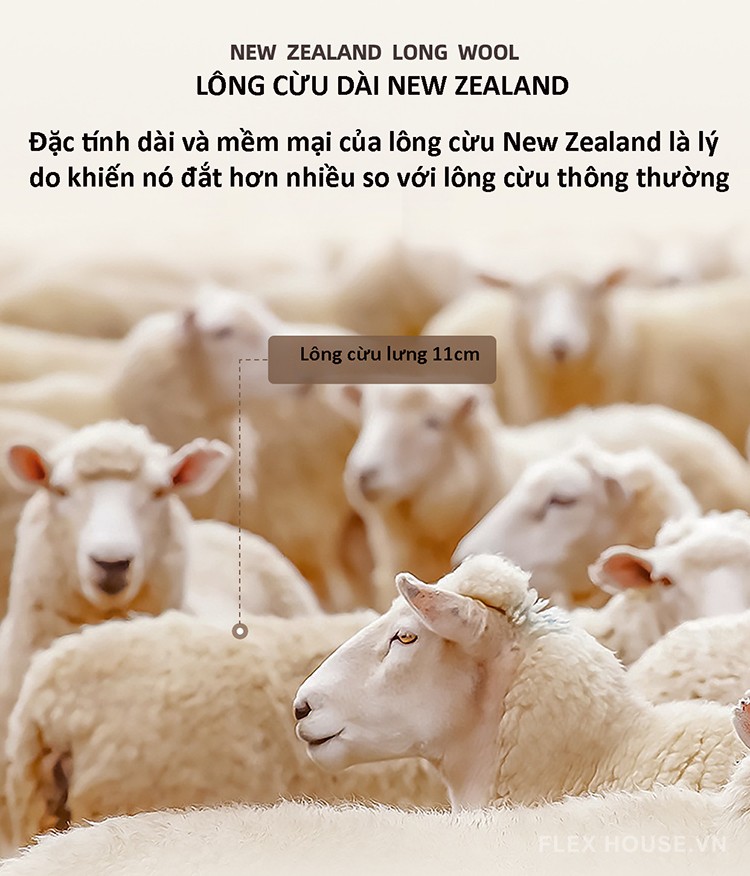 Thảm trải sàn bằng len New Zealand cao cấp DM924 12