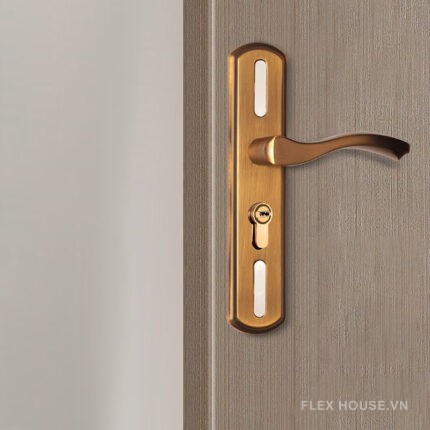 Kinh nghiệm chọn khóa cửa tay gạt từ chuyên gia nội thất 8