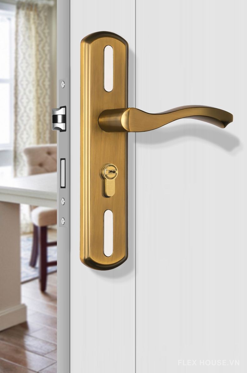 Khóa cửa tay gạt cong bằng thép không gỉ LP1319 4