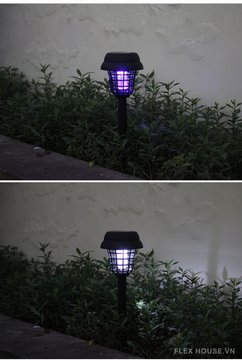 Ảnh thực tế cảnh đêm SX1688